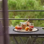 Le Rivieira Garage Et Terrasse, Au Bord Du Lez